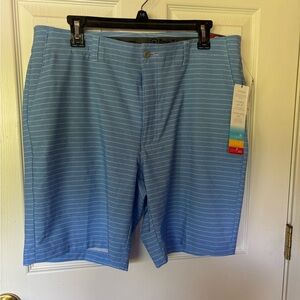 Blue Striped Men's Shorts